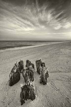 Framed Final Deliberations Print