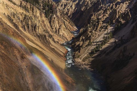 Framed Brink of Lower Falls Print