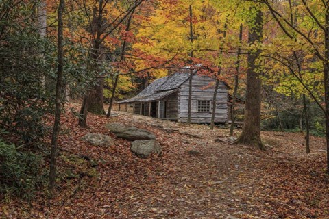 Framed Bud Ogle Place -Composition 2 Print