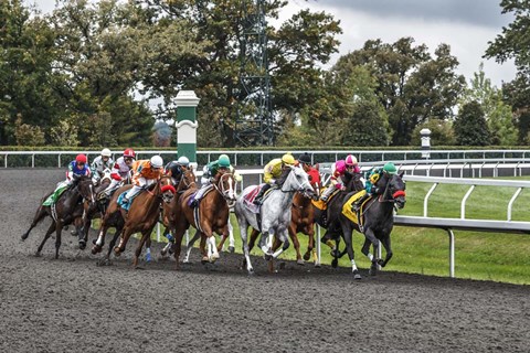 Framed Into The Home Stretch Print