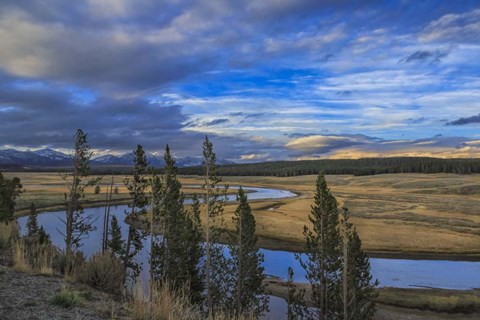 Framed S Curve Hayden Valley Print