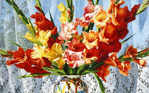 Framed Fireworks Print