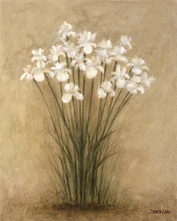 Framed Floral F Print