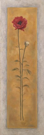 Framed Tall Red Poppy W/Bud Right Print