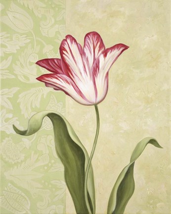 Framed Tulip 2 Print