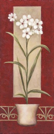 Framed White Flowers In Pot Print