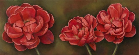 Framed Summer Blossoms 1 Print