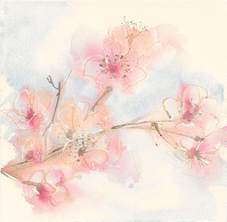 Framed Pink Blossoms II Print
