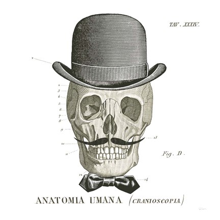 Framed Dandy Bones IV Print