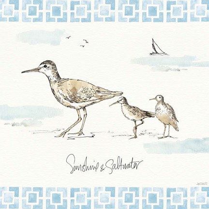 Framed Sandpiper Sea II Print