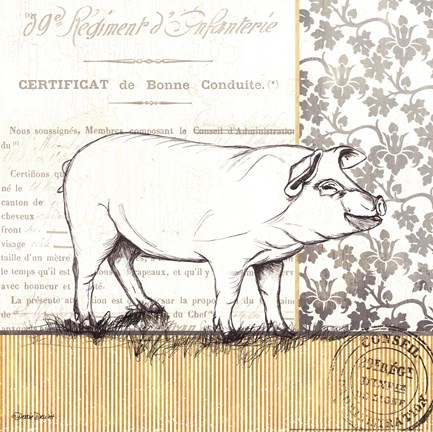 Framed Vintage Pig Print