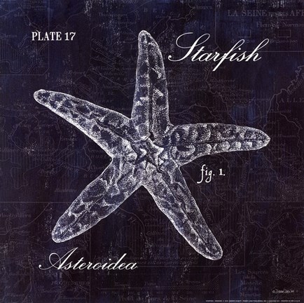 Framed Starfish Print