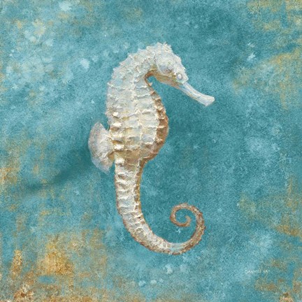 Framed Treasures from the Sea I Aqua Print