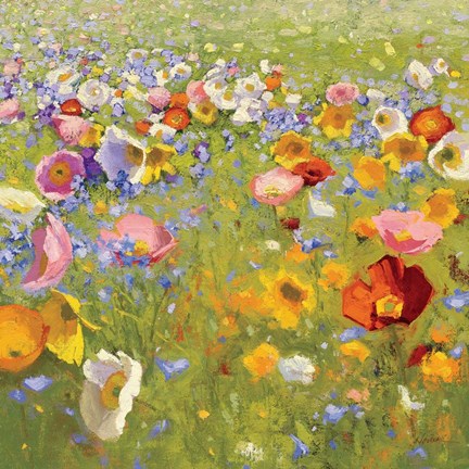 Framed Champ de Fleur I Print