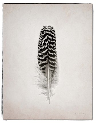 Framed Feather I BW Print