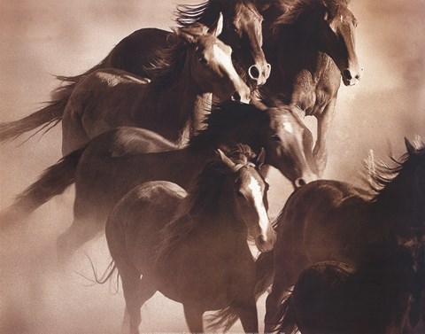 Framed Renegades Print