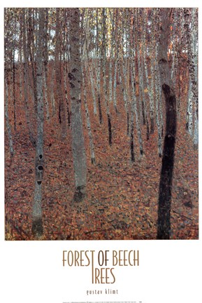 Framed Forest of Beech Trees Print