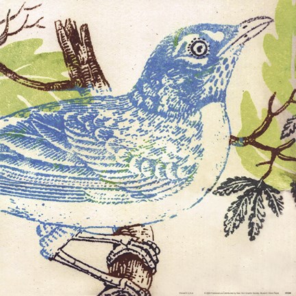 Framed Bluebird Print