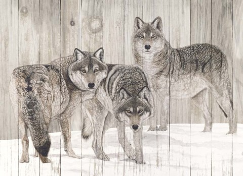 Framed Three Grey Wolves on Wood Print
