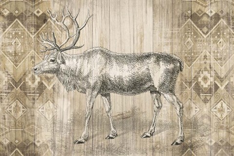 Framed Natural History Lodge IX Print