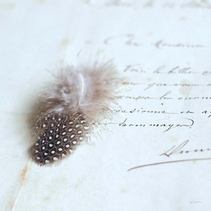 Framed Plume Letters II Print