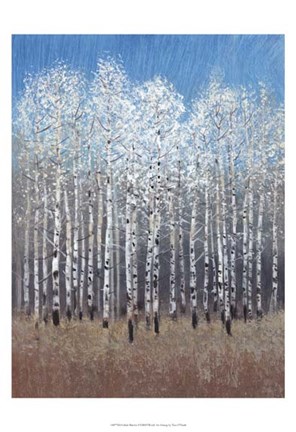 Framed Cobalt Birches I Print
