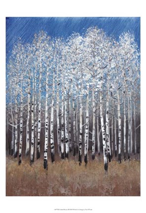 Framed Cobalt Birches II Print
