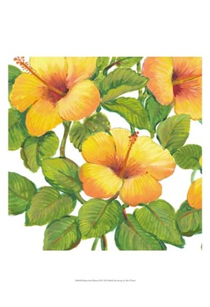 Framed Watercolor Hibiscus III Print