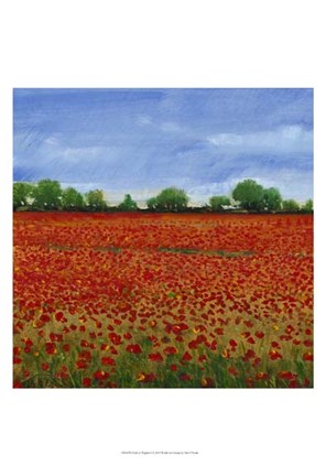 Framed Field of Poppies I Print