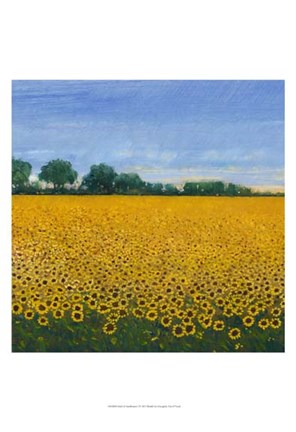 Framed Field of Sunflowers I Print