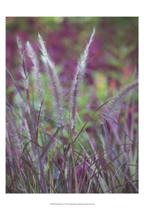 Framed Purple Plumes II Print