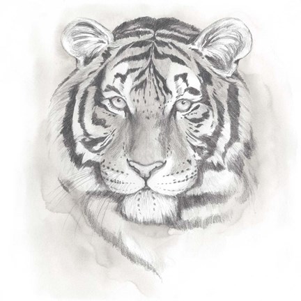 Framed Big Cat Study II Print