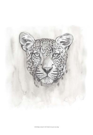 Framed Big Cat Study IV Print