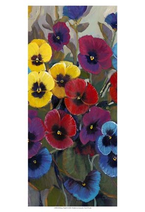 Framed Pansy Panel II Print