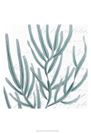 Framed Aqua Marine I Print