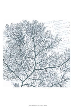 Framed Aqua Marine II Print