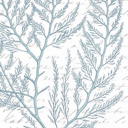 Framed Aqua Marine VIII Print