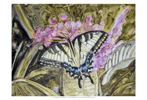 Framed Butterfly in Nature II Print