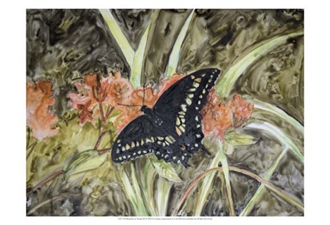 Framed Butterfly in Nature III Print