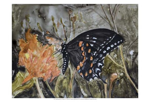 Framed Butterfly in Nature IV Print