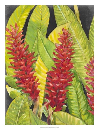 Framed Red Tropical Flowers I Print