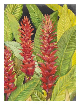Framed Red Tropical Flowers II Print