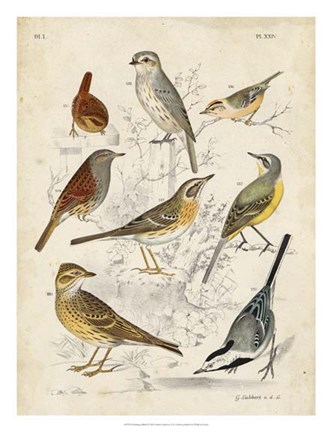 Framed Gathering of Birds I Print