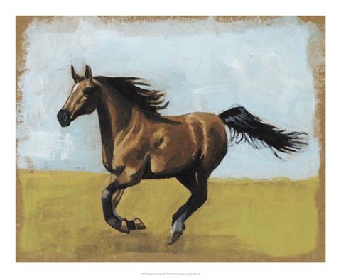 Framed Equestrian Studies II Print