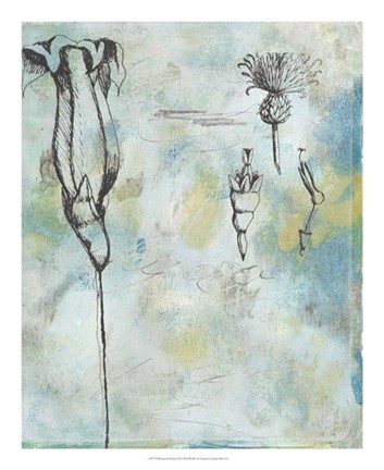 Framed Botanical Abstract II Print