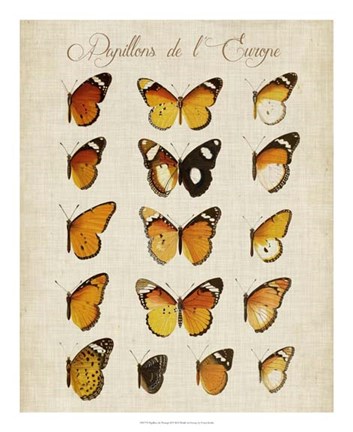 Framed Papillons de L'Europe II Print