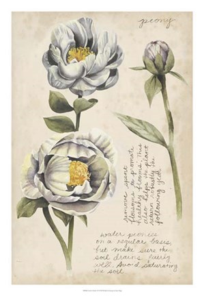 Framed Garden Studies IV Print