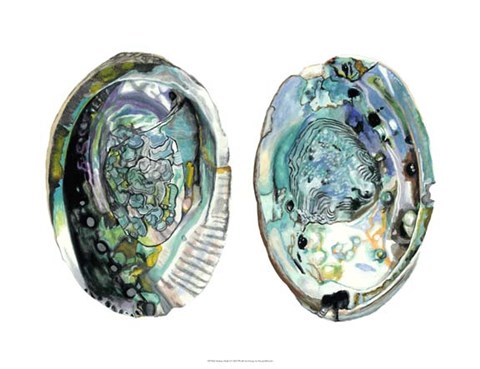 Framed Abalone Shells I Print