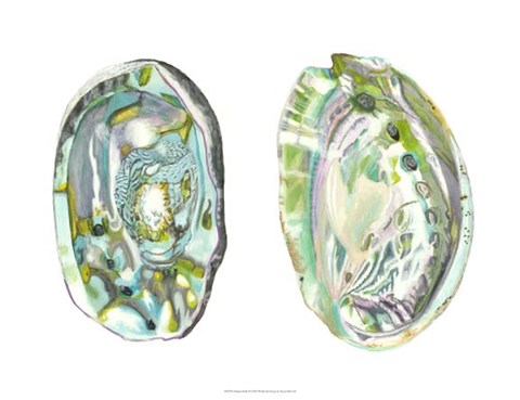 Framed Abalone Shells II Print