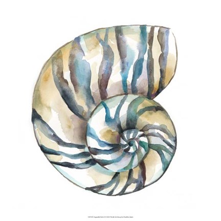 Framed Aquarelle Shells II Print